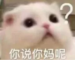 微信杠精表情包（无水印）