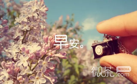 唯美早安微信图片