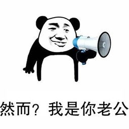我是你老公微信恶搞表情包