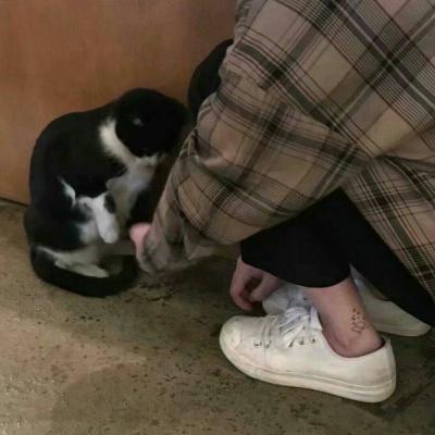 御女风微信女生