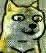微信动态doge表情包