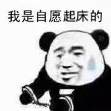 熊猫头戴手铐都是我自愿的系列爆笑恶搞表情包下载