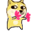 微信动态doge表情包