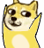 微信动态doge表情包