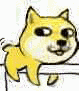 微信动态doge表情包