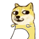 微信动态doge表情包