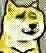 微信动态doge表情包