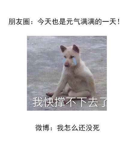 微博上的你和朋友圈上的你微信搞笑朋友圈配图