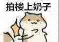 拍楼上奶子微信恶搞小仓鼠表情包