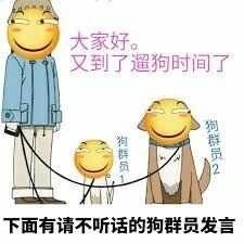 群聊调戏管理员微信表情包