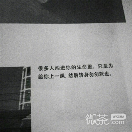 微信意境小清新朋友圈配图