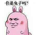 微信金馆长恶搞十二生肖表情包