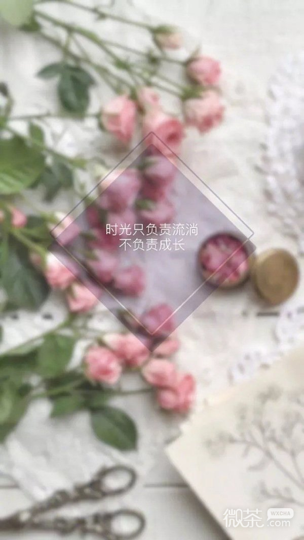 微信个性小清新文字背景图