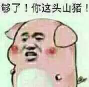 微信金馆长恶搞十二生肖表情包