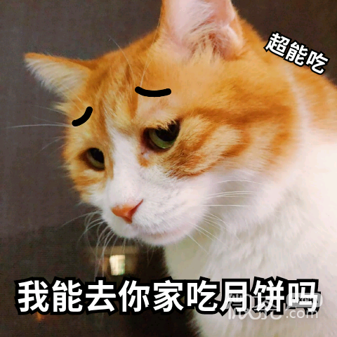 微信搞笑中秋节表情包