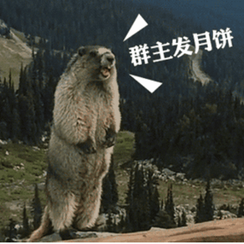 微信搞笑中秋节表情包