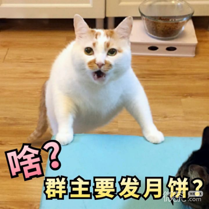 微信搞笑中秋节表情包