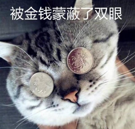 被金钱蒙蔽了双眼（微信喵星人表情包）