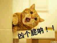 凶凶哒微信恶搞喵星人表情包