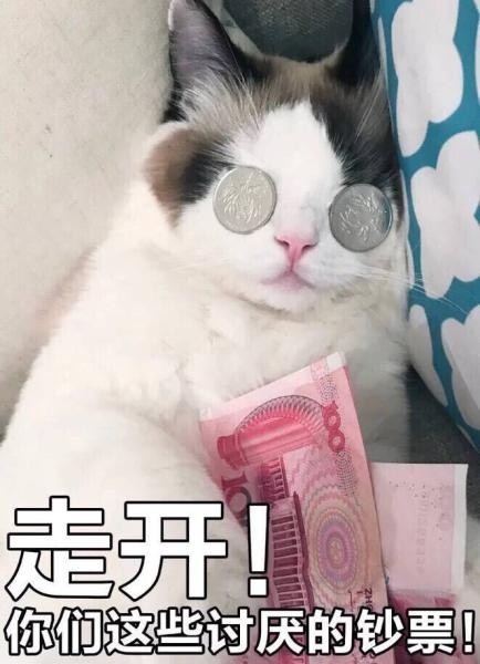 被金钱蒙蔽了双眼（微信喵星人表情包）