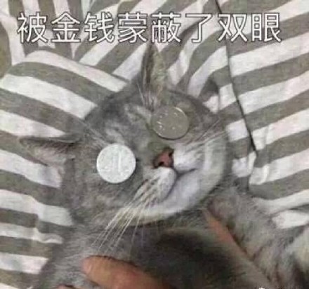 被金钱蒙蔽了双眼（微信喵星人表情包）