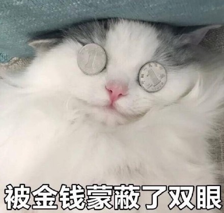 被金钱蒙蔽了双眼（微信喵星人表情包）