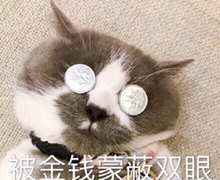 被金钱蒙蔽了双眼（微信喵星人表情包）