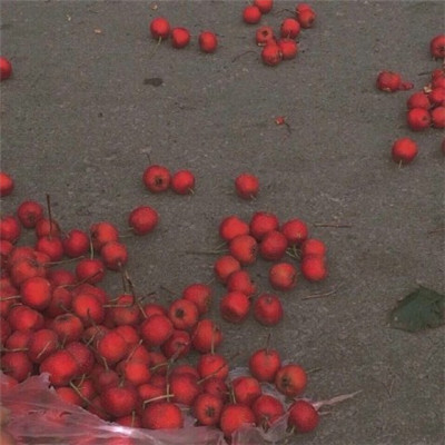 个性霸气微信朋友圈背景图