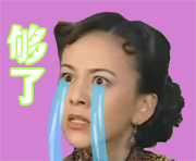 可爱爆笑微信最新雪姨骂人GIF表情包下载