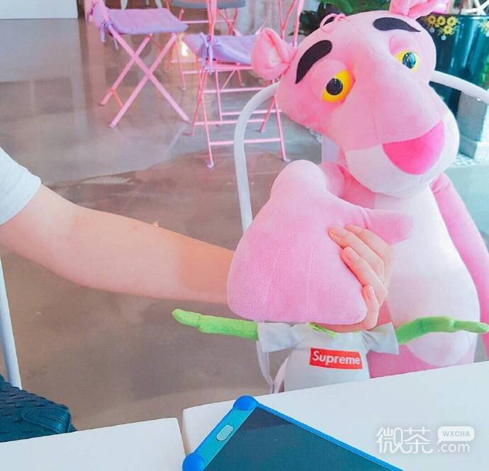 微信粉色系女生朋友圈配图
