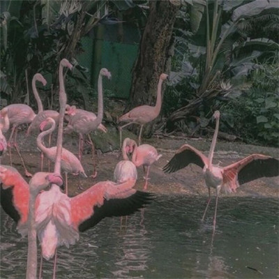 个性霸气微信朋友圈背景图