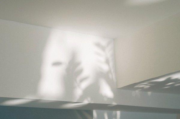 最新一波微信小清新朋友圈配图