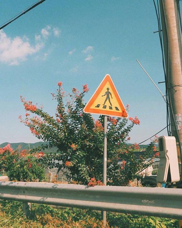 最新一波微信小清新朋友圈配图