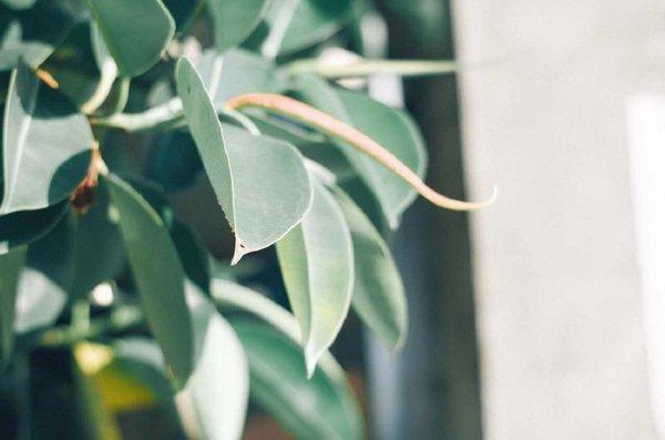 最新一波微信小清新朋友圈配图