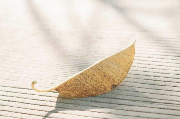 最新一波微信小清新朋友圈配图