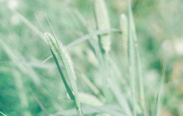 最新一波微信小清新朋友圈配图