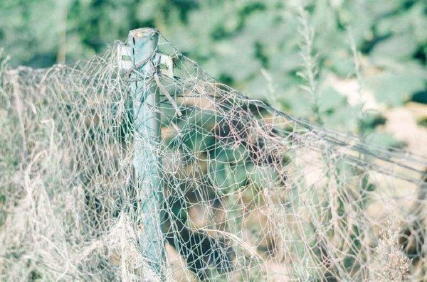 最新一波微信小清新朋友圈配图