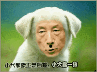 微信经典搞笑常用群聊动态表情包下载