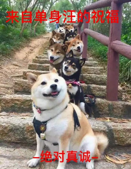 祝大家早日脱单微信柴犬恶搞表情包