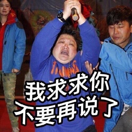 韩红微信恶搞表情包我一巴掌下去你可能会死