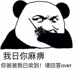收到请回答over微信表情包