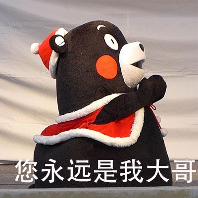 大哥，请受我一拜微信熊本熊恶搞表情包