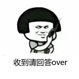 收到请回答over微信表情包