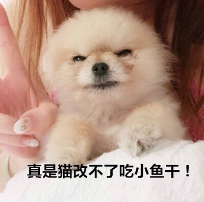 微信恶搞汪星人表情包