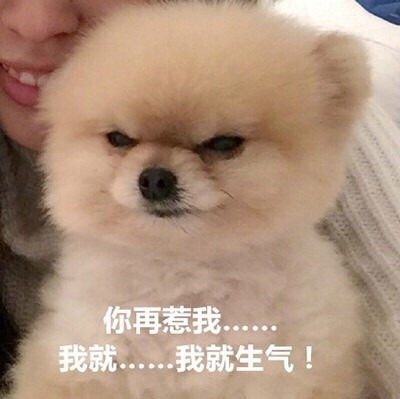 微信恶搞汪星人表情包