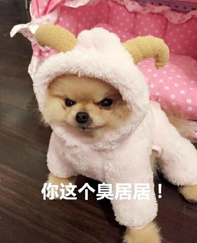 微信恶搞汪星人表情包
