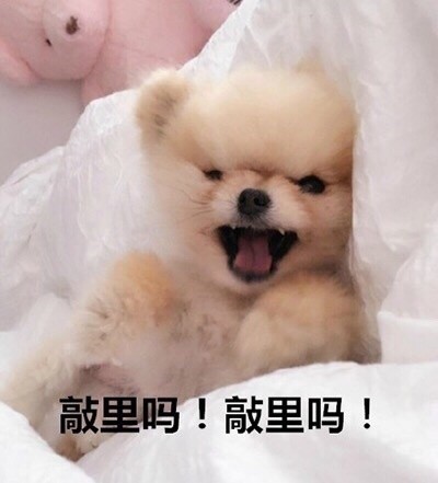 微信恶搞汪星人表情包