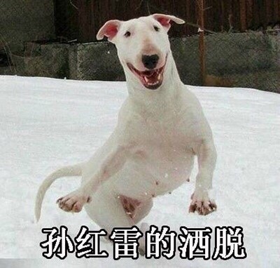 微信恶搞汪星人表情包