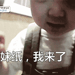 微信动态宋民国表情包