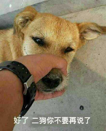 微信二狗恶搞表情包